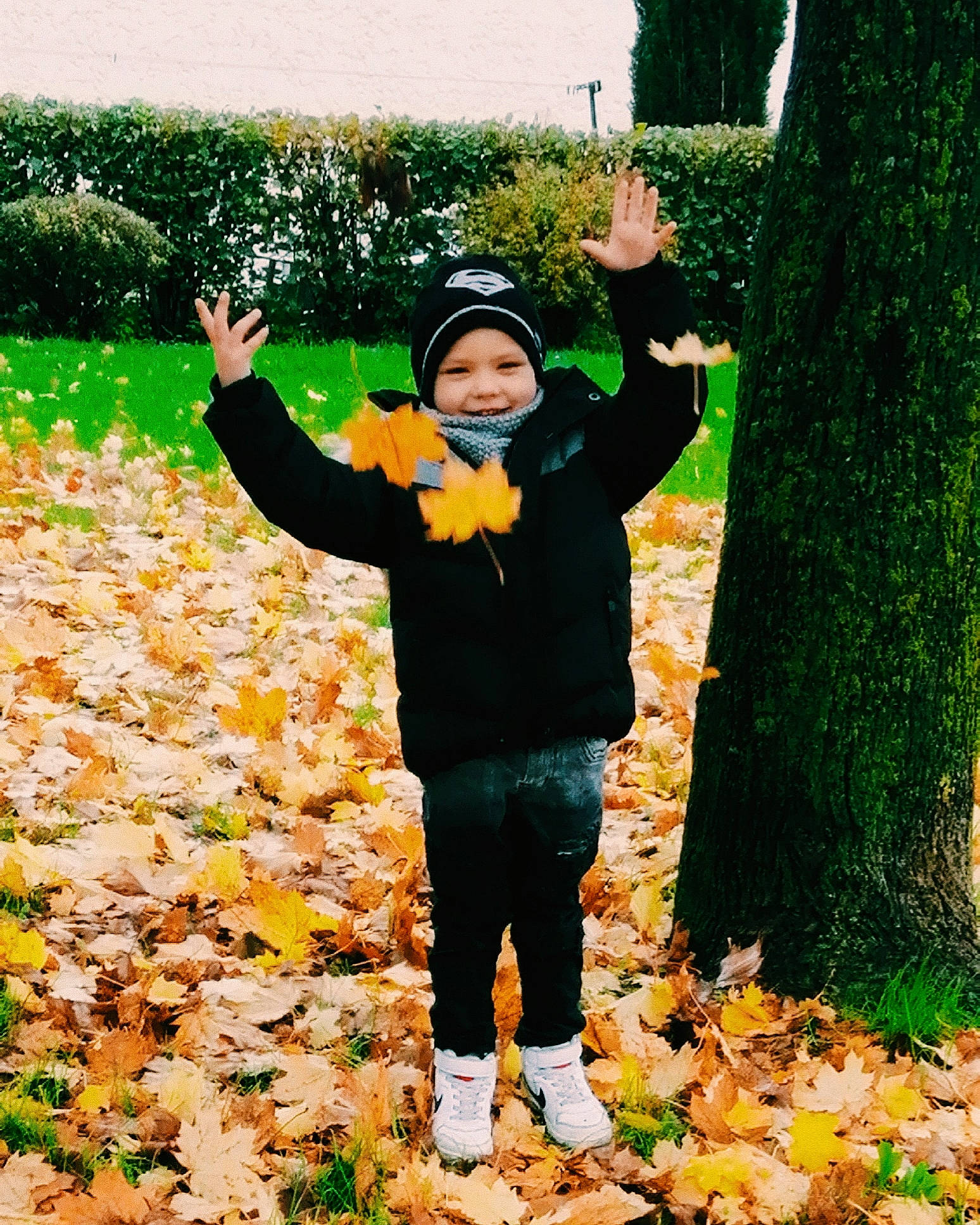 Julianaux a rejoint le concours — aidez-le/la à gagner de superbes lots ! autumn, child, cool, fun, gesture, grass, happy, headwear, joy, leaf, leisure, people_in_nature, person, photography, plant, play, smile, toddler, tree, woody_plant