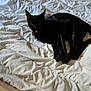black_cat, cat, bed, white_bedspread, indoor, feline, animal, pet, tongue_out, relaxed, cozy, wooden_furniture, patterned_wallpaper, cute, sleepy, domestic_cat, fur, whiskers, ears, eyes