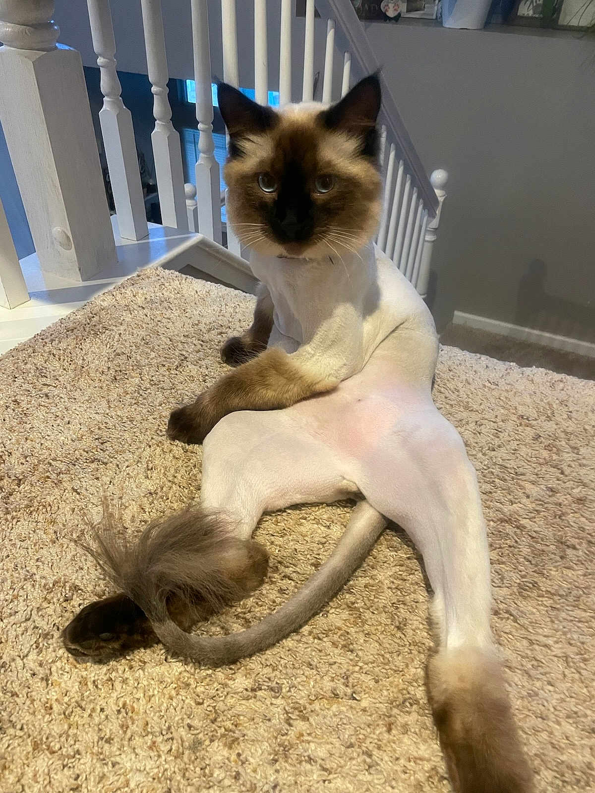 Suko