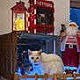 blue_lights, candle, cat, christmas, cute, decoration, fence, festive, figurine, floor_tiles, heterochromia, holiday_decor, indoor, lantern, letters, mailbox, pet, santa_claus, white_cat, wooden_crate