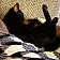 Kittykitty