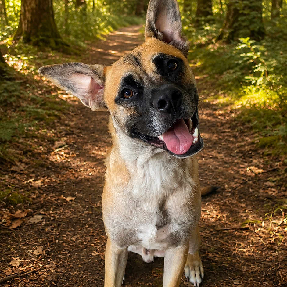 Tyson