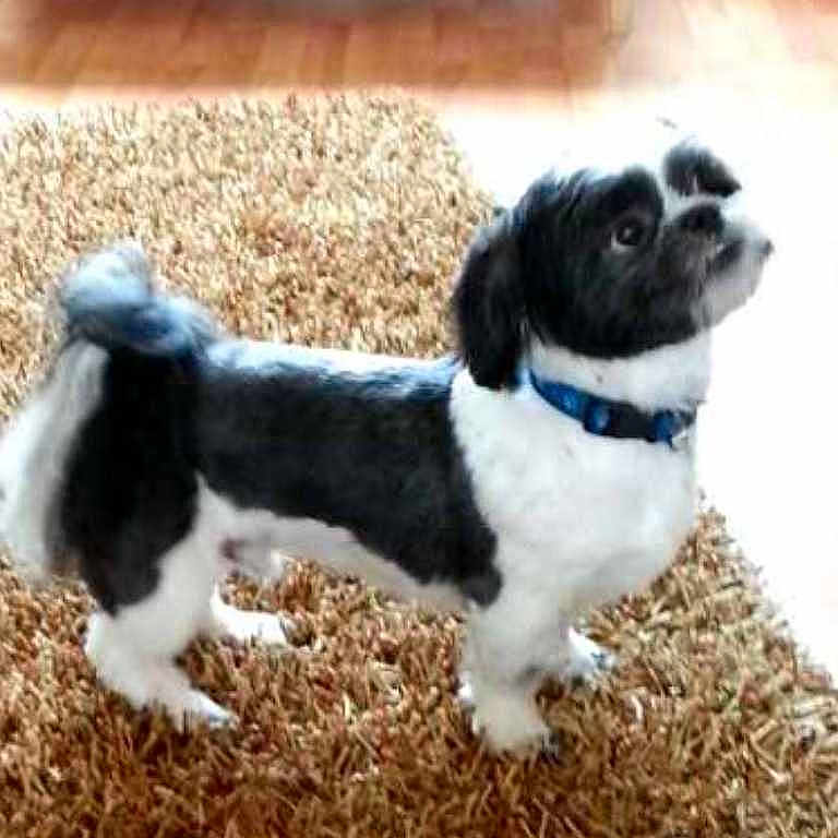 Olly joined the competition — help win amazing prizes!