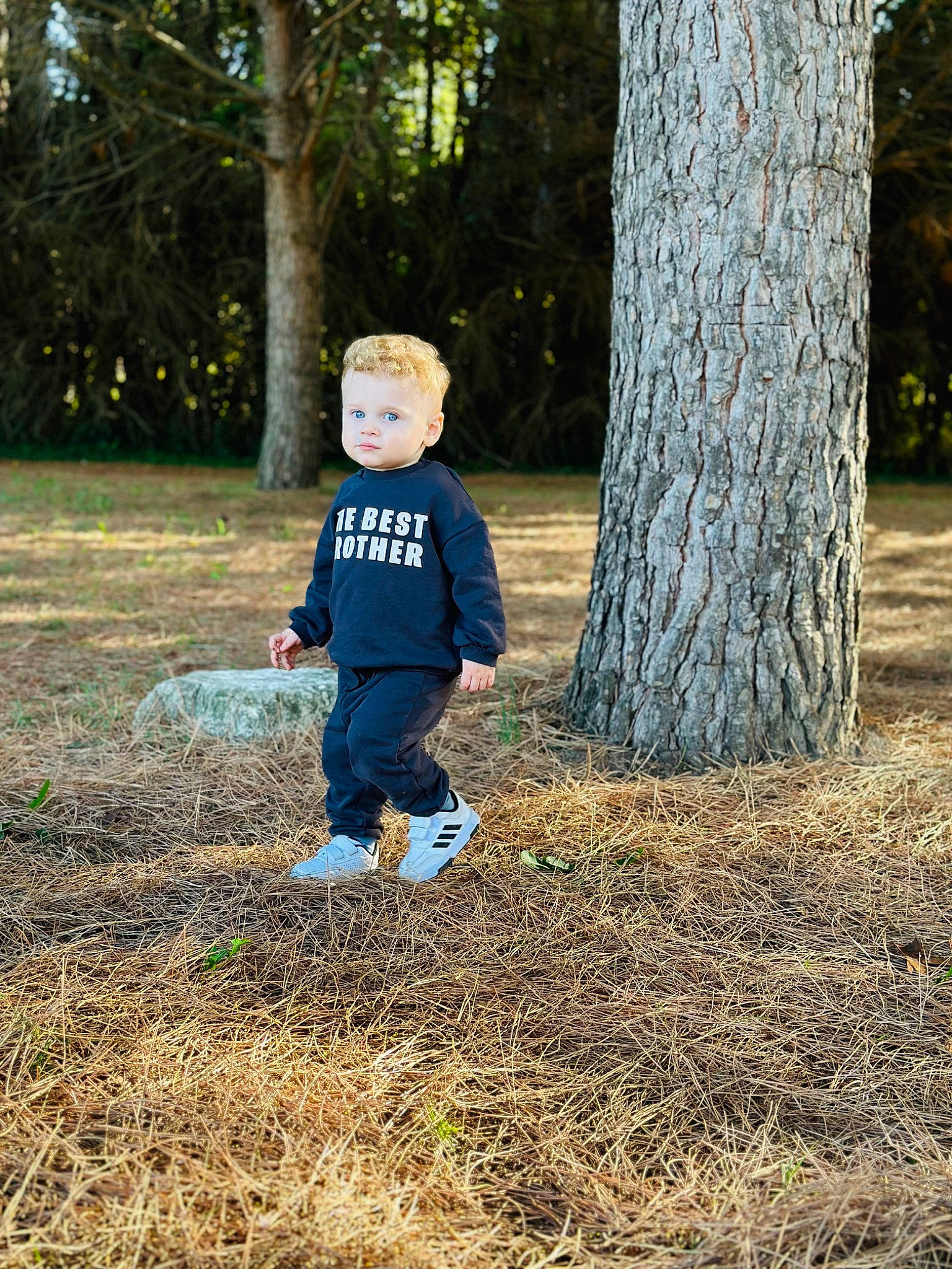 Leo a rejoint le concours — aidez-le/la à gagner de superbes lots ! branch, child, deciduous, electric_blue, forest, fun, grass, happy, leaf, natural_landscape, people_in_nature, person, plant, recreation, standing, sunlight, toddler, tree, trunk, wood
