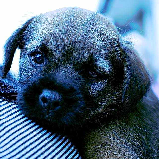Katy is registered to the contest to win money with this photo: