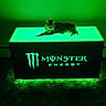 cat, animal, pet, feline, lying_down, relaxed, black_cat, green_lighting, neon, glowing, table, indoor, dark, dramatic_lighting, energy_drink, logo, brand, advertisement, portrait, nighttime