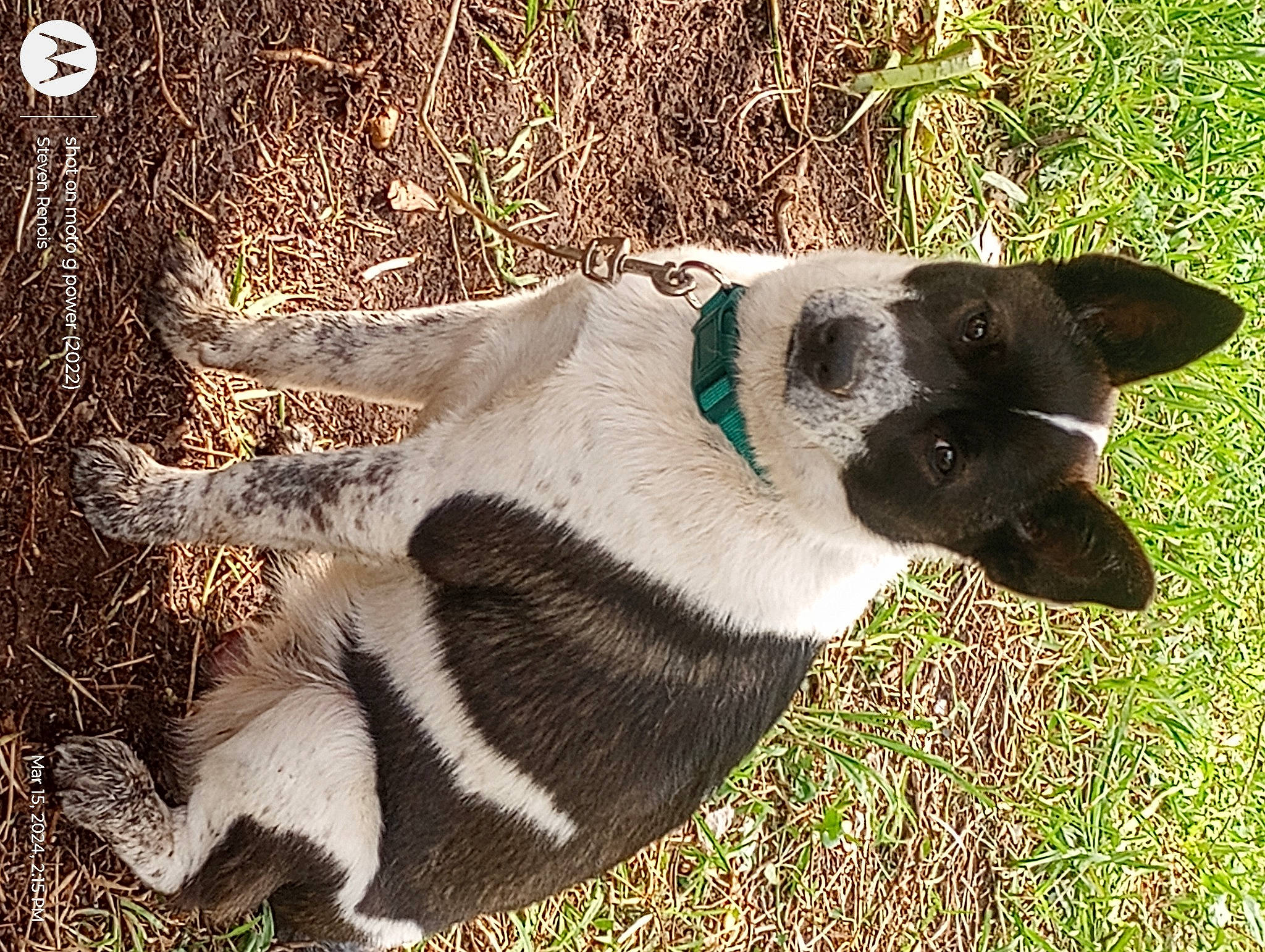 Marley Kaye Rose Renois