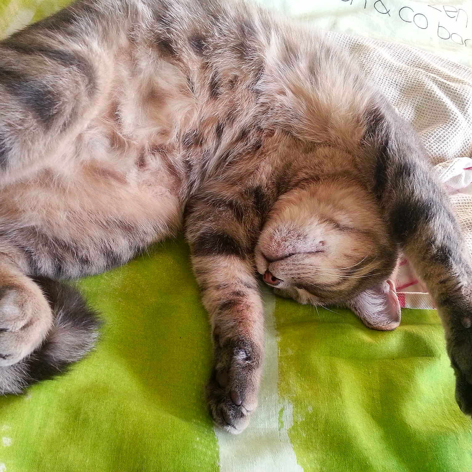 BEN participe au concours pour gagner de l'argent avec cette photo :