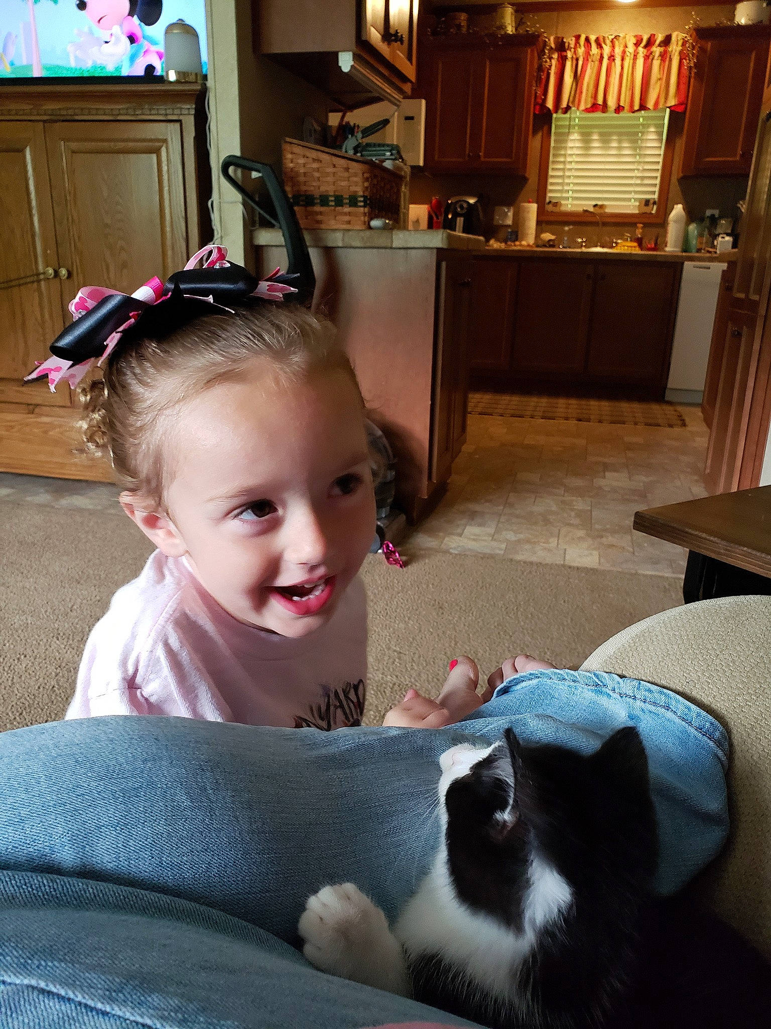 Joslyn is registered to the contest to win money with this photo: cat, child, ear, fawn, felidae, furniture, joy, person, room, small_to_medium_sized_cats, toddler
