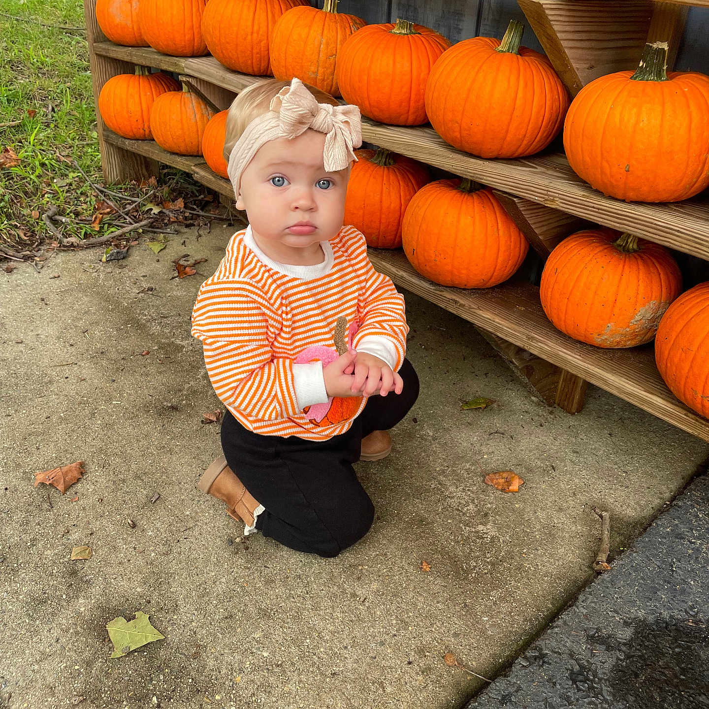 Amelia joined the competition — help win amazing prizes! baby, child, pumpkins, pumpkin_patch, outdoor, autumn, fall, headband, bow, striped_shirt, orange, black_pants, kneeling, sidewalk, wooden_shelf, farmstand, portrait, blue_eyes, face, seasonal