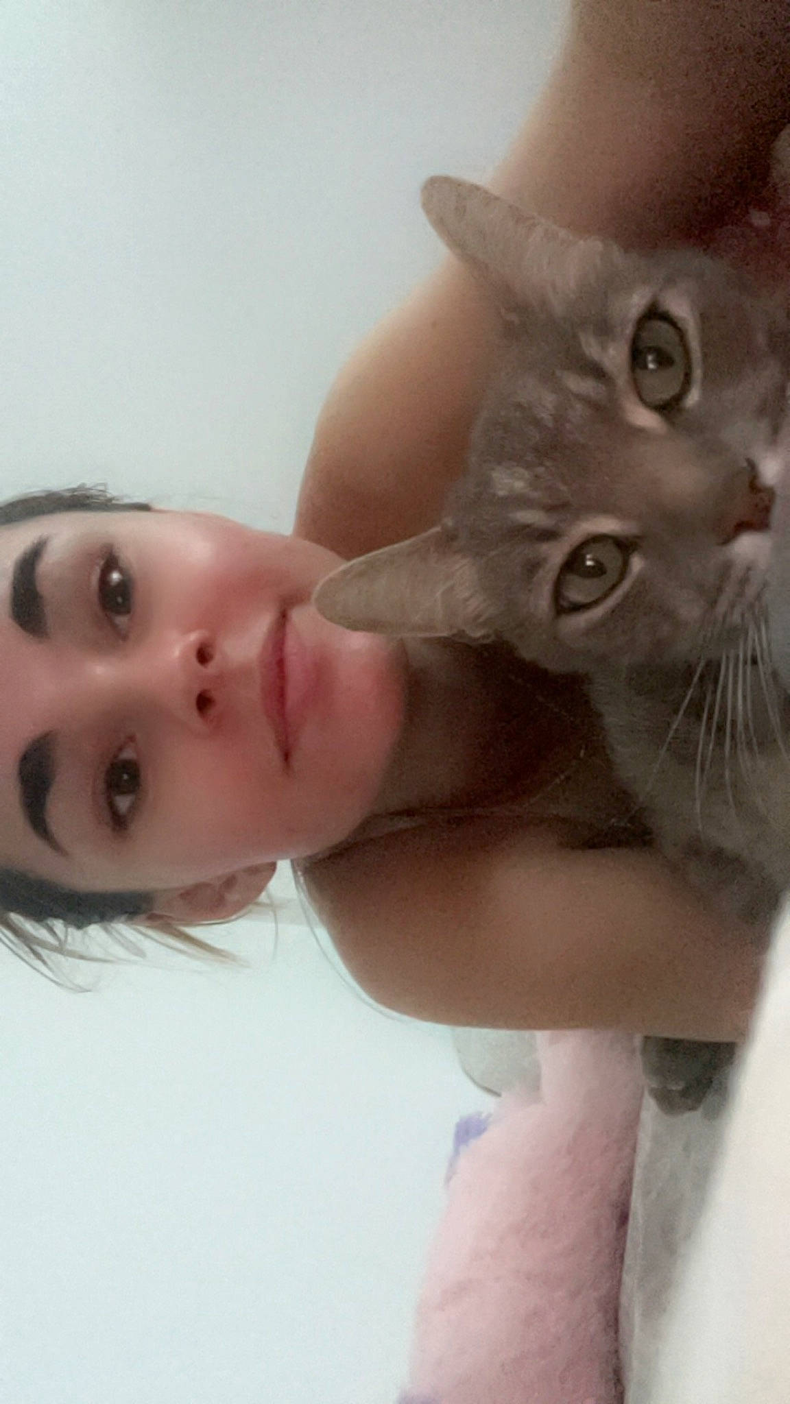 Léo participe au concours pour gagner de l'argent avec cette photo : bathing, carnivore, cat, chest, domestic_short_haired_cat, ear, eyelash, felidae, fur, gesture, happy, iris, jaw, neck, nose, selfie, skin, small_to_medium_sized_cats, throat, whiskers