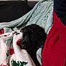 dog, black_dog, blanket, couch, indoor, cozy, resting, snuggling, fur, pet, comfort, holiday, christmas_pattern, red_blanket, green_blanket, relaxed, sleepy, soft_texture, home, animal