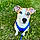 Bluey