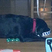 Flash participe au concours pour gagner de l'argent avec cette photo :