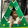 cat, tabby_cat, cat_house, christmas_tree_shape, green, paws, indoor, wooden_floor, chair, furniture, relaxed, pet, cozy, decorated, triangle, stretching, cute, animal, whiskers, home