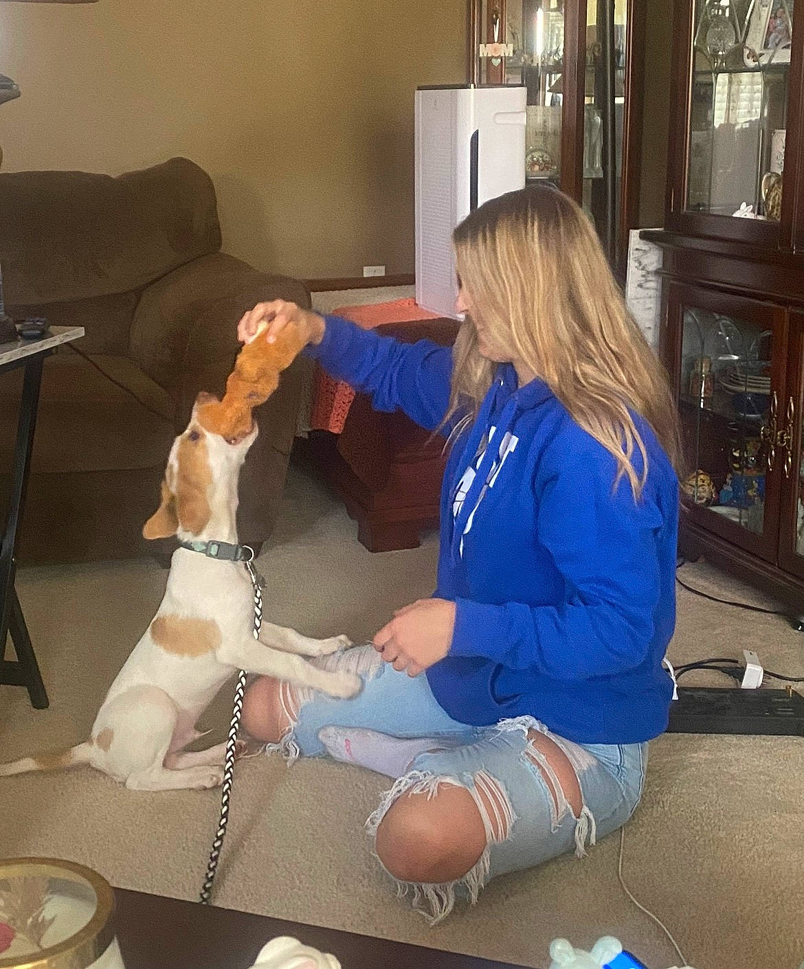 Scout joined the competition — help win amazing prizes! carnivore, comfort, companion_dog, couch, dog, health_care, human_leg, joint, knee, lap, medical, medical_procedure, patient, picture_frame, remote_control, room, service, sitting, studio_couch, thigh