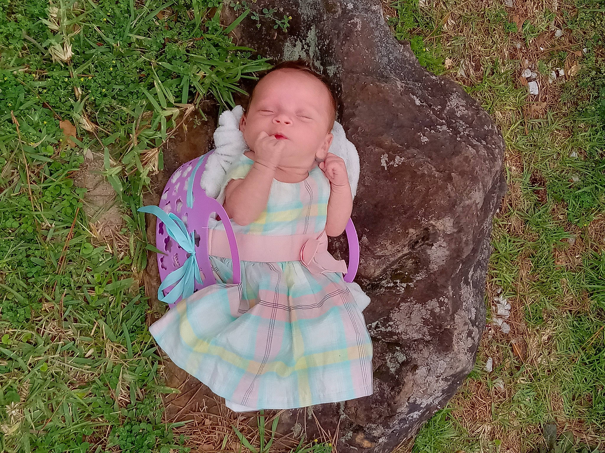 Raya joined the competition — help win amazing prizes! baby, baby_toddler_clothing, child, dress, eye, fun, grass, grassland, happy, leisure, magenta, pattern, people_in_nature, person, plant, play, recreation, sitting, soil, toddler