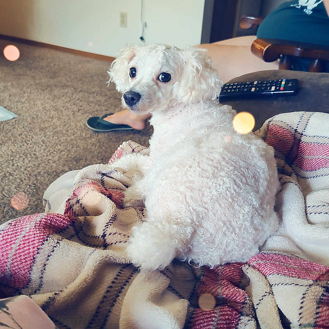 Buster