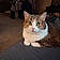 Meow