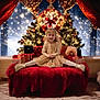 child, girl, smile, christmas_tree, holiday, presents, festive, gold_dress, sparkle, red_bench, curtains, lights, indoor, happy, celebration, winter, decorations, boots, tights, portrait