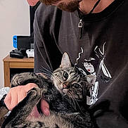 Elya participe au concours pour gagner de l'argent avec cette photo : animal, cat, close_up, cozy, curious, face, facial_hair, gamer, gaming_console, holding, home, indoor, necklace, person, pet, tabby_cat, tattoo, tshirt, whiskers, wooden_table