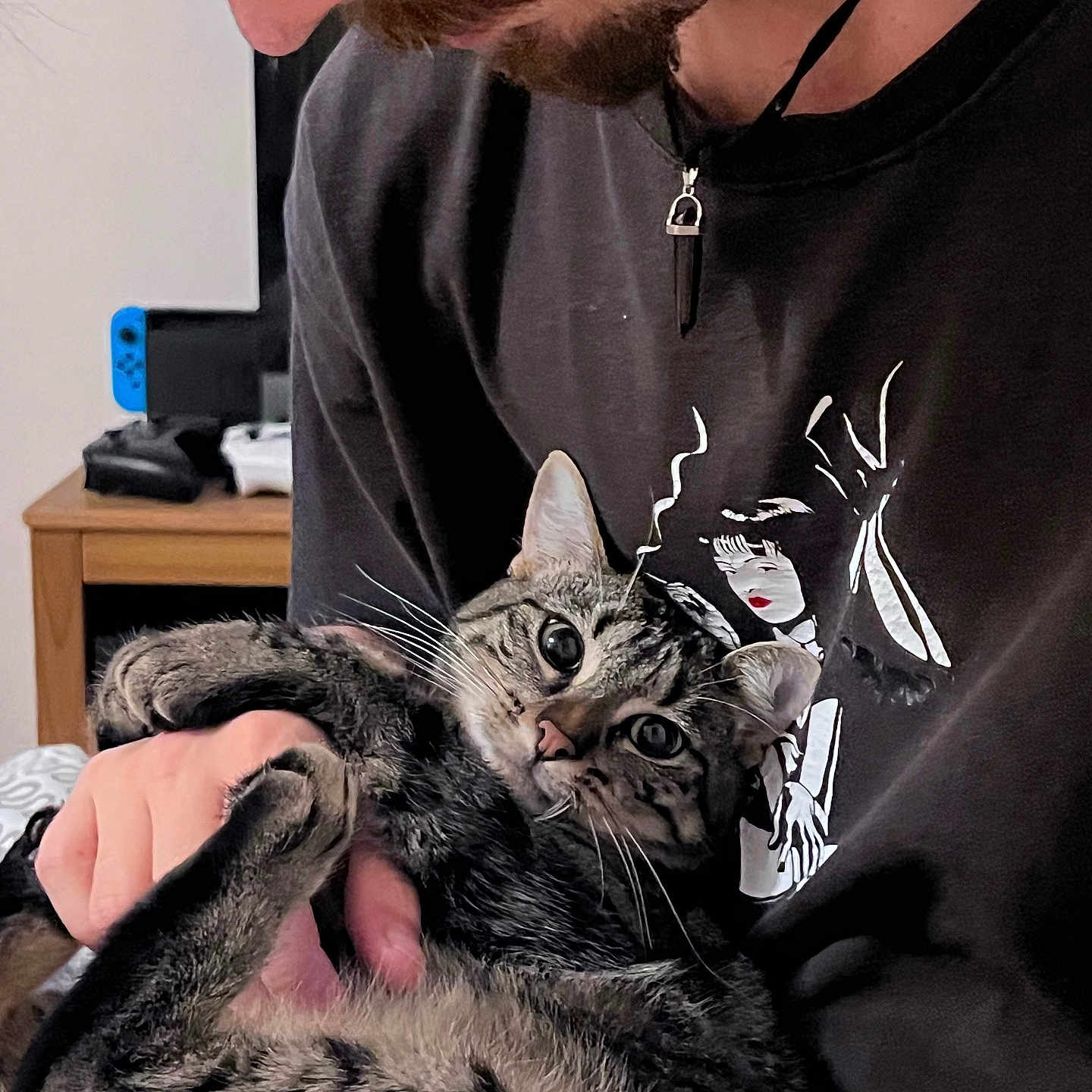 Elya participe au concours pour gagner de l'argent avec cette photo : animal, cat, close_up, cozy, curious, face, facial_hair, gamer, gaming_console, holding, home, indoor, necklace, person, pet, tabby_cat, tattoo, tshirt, whiskers, wooden_table