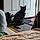 Binx