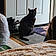Binx
