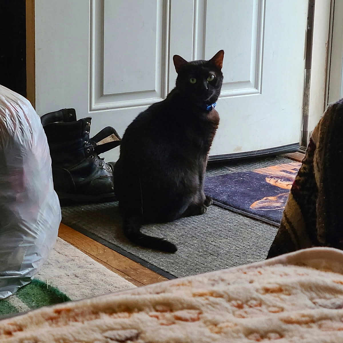 Binx