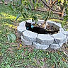 Binx joined the competition — help win amazing prizes! animal, backyard, black_cat, branches, cat, feline, garden, grass, harness, leash, leaves, mulch, outdoor, pet, planter, sitting, stone, sunlight, tree, wooden_fence