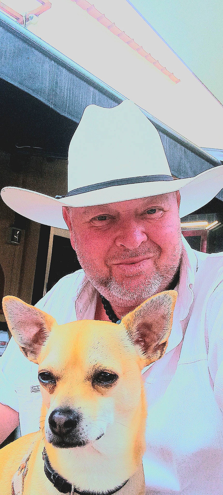 Guizmo participe au concours pour gagner de l'argent avec cette photo : beard, carnivore, companion_dog, costume_hat, cowboy_hat, dog, dog_breed, ear, face, fashion_accessory, fedora, hat, mammal, nose, organ, smile, sun_hat, vertebrate, whiskers, working_animal