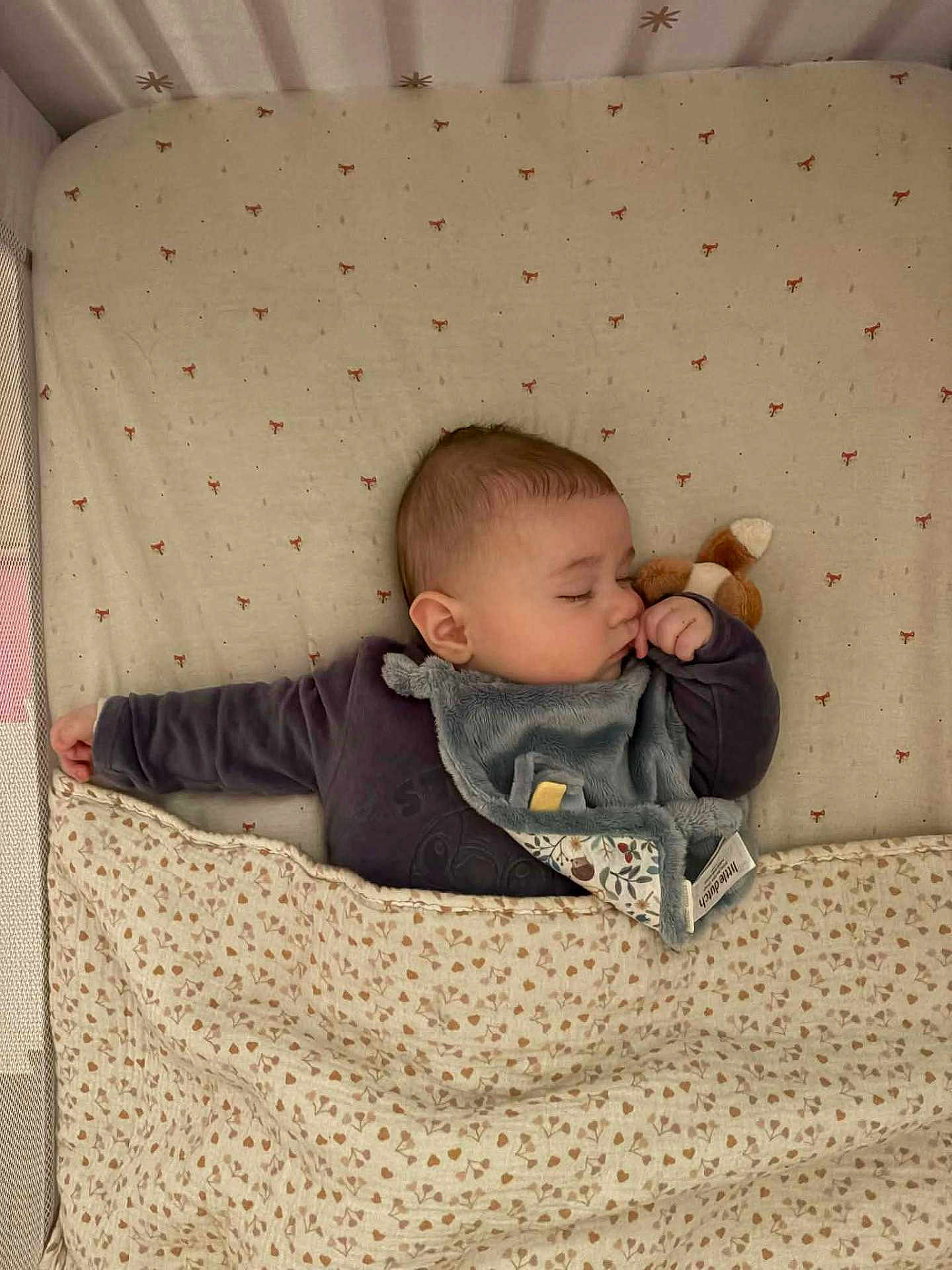 Rémi a rejoint le concours — aidez-le/la à gagner de superbes lots ! baby, infant, sleeping, crib, blanket, stuffed_animal, thumb, face, ear, pajamas, bedding, crib_sheet, peaceful, nap, cute, soft_toy, patterned_textile, indoors, portrait, child