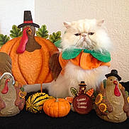 Valentino is registered to the contest to win money with this photo: