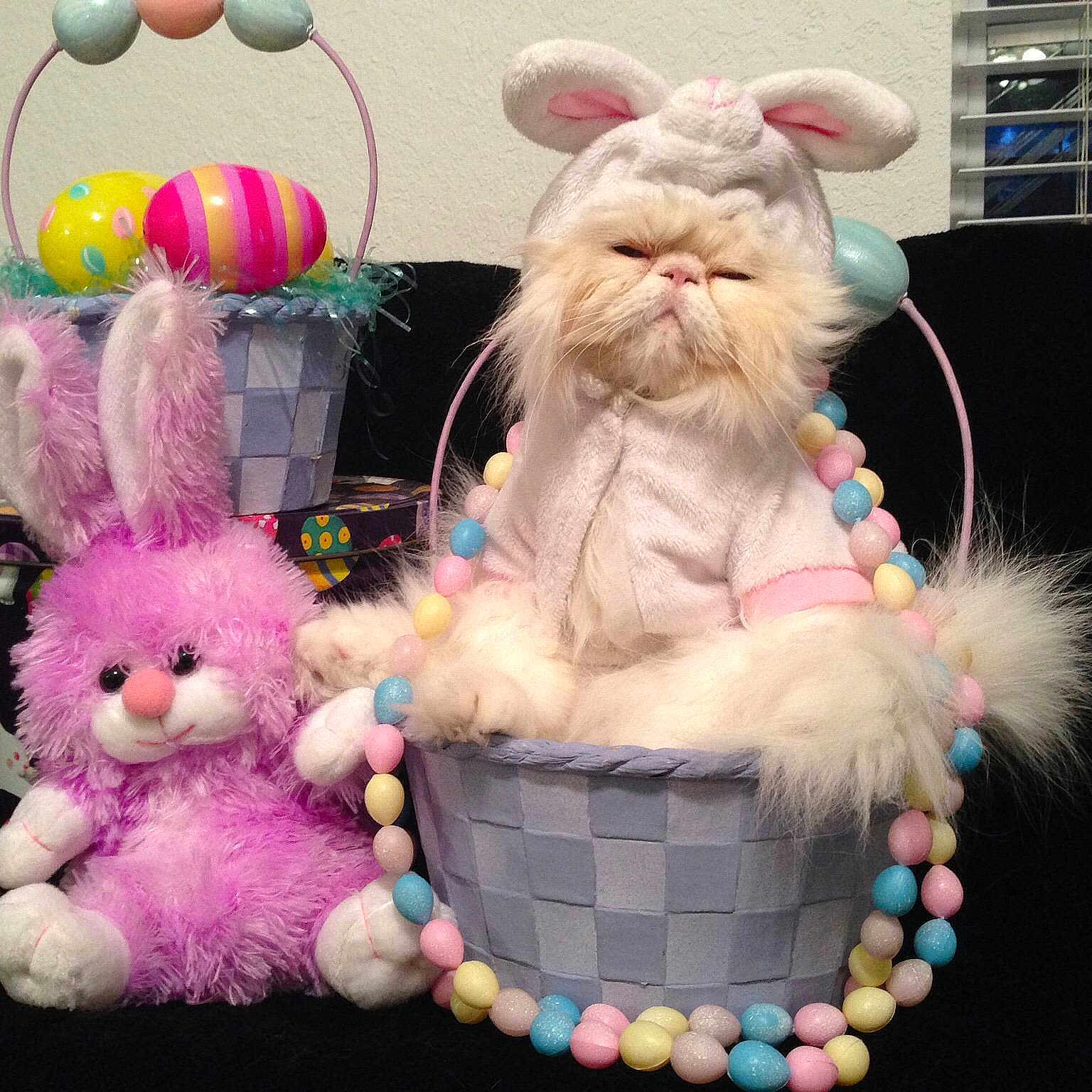 Valentino is registered to the contest to win money with this photo: