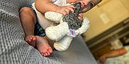 Jasper is registered to the contest to win money with this photo: baby, child, stuffed_animal, toy, couch, gray, indoor, person, feet, white_shirt, blue_eyes, short_hair, blurred_background, home, floor, adult, walking, soft_toy, cute, seated