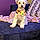 Zoey