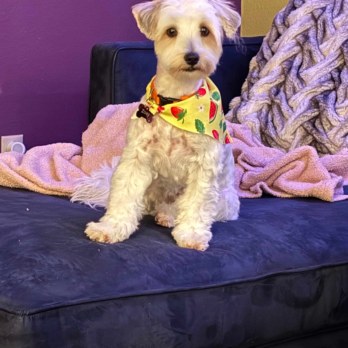 Zoey