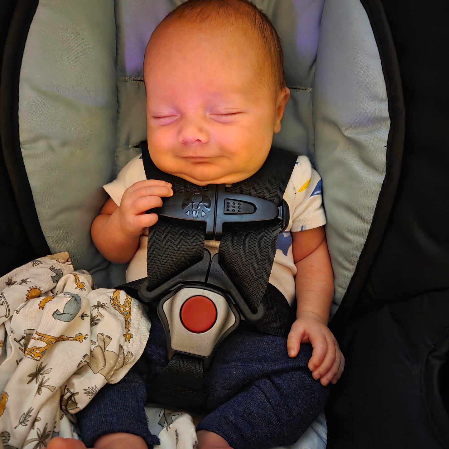 Nyxzen joined the competition — help win amazing prizes! baby, blanket, car_seat, child, clothing, comfort, cute, fabric, foot, hand, indoor, infant, newborn, pattern, peaceful, portrait, rest, safety_harness, sleeping, tiny