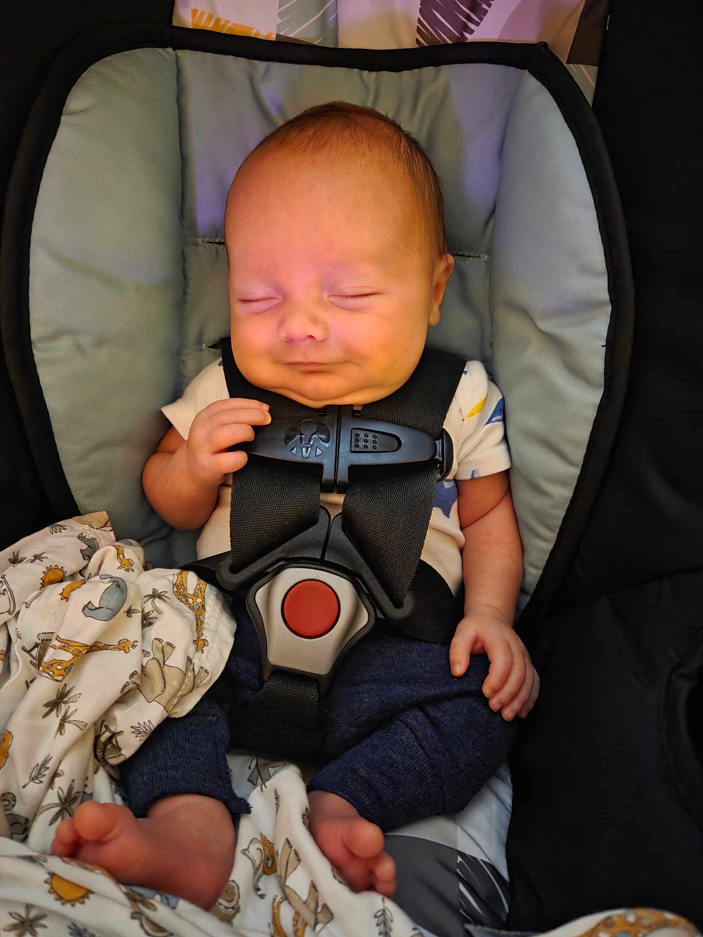 Nyxzen joined the competition — help win amazing prizes! baby, sleeping, car_seat, blanket, infant, child, safety_harness, clothing, cute, peaceful, newborn, foot, hand, fabric, pattern, comfort, indoor, portrait, rest, tiny
