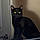 Binx