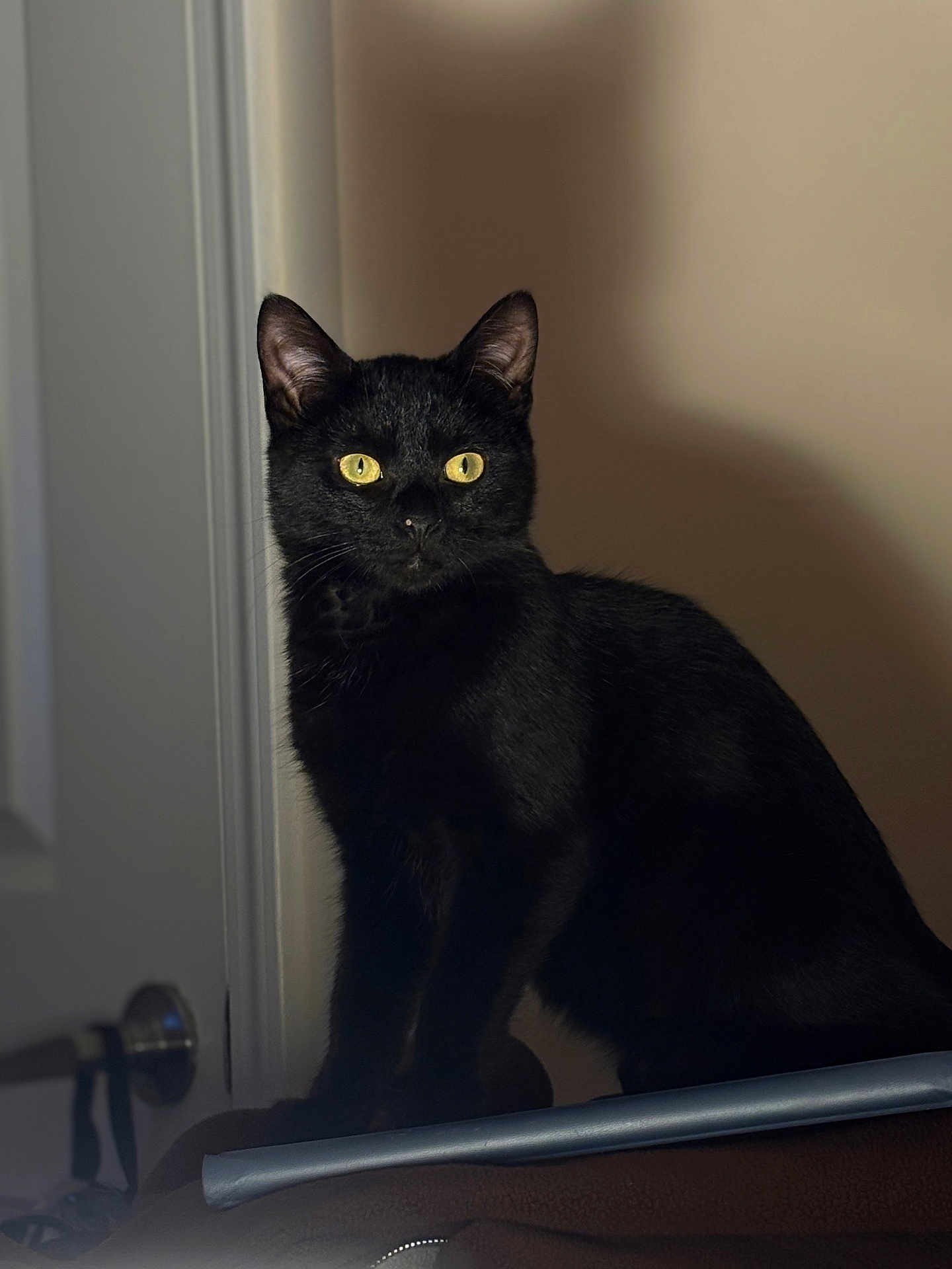 Binx