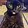 Binx