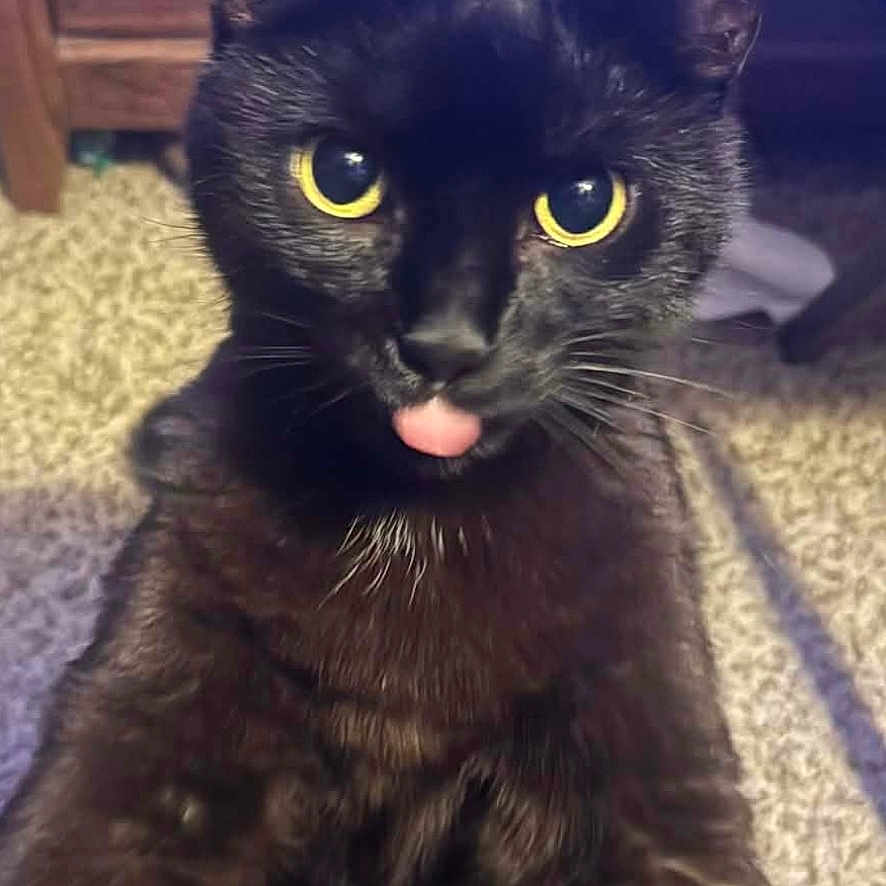 Binx