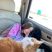 Dyson is registered to the contest to win money with this photo: child, sleeping, cat, orange_cat, car_interior, window, tie_dye, hoodie, seat, blanket, resting, pet, whiskers, fur, curious, daylight, seatbelt, travel, relaxation, cozy