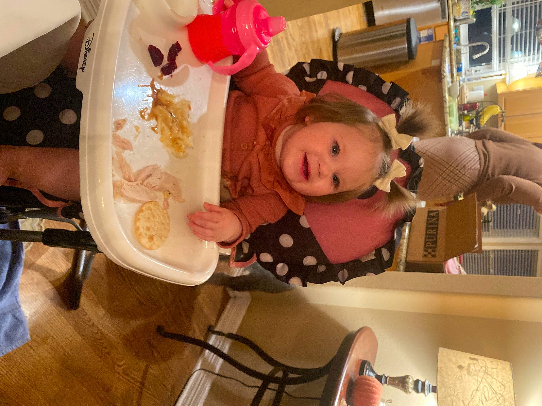 Alaska is registered to the contest to win money with this photo: baby, baby_products, chair, child, comfort_food, dishware, drinkware, event, fun, joy, mammal, person, product, room, serveware, toddler, toy, wood