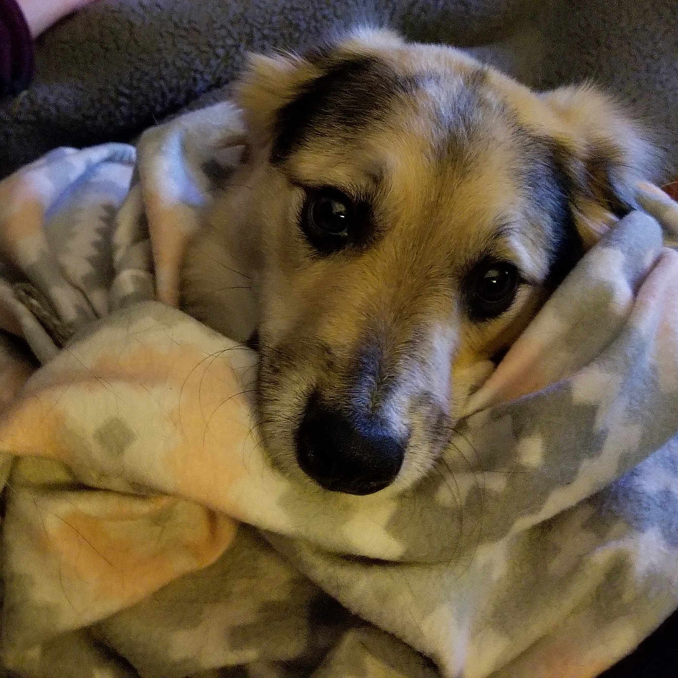 Maggie
