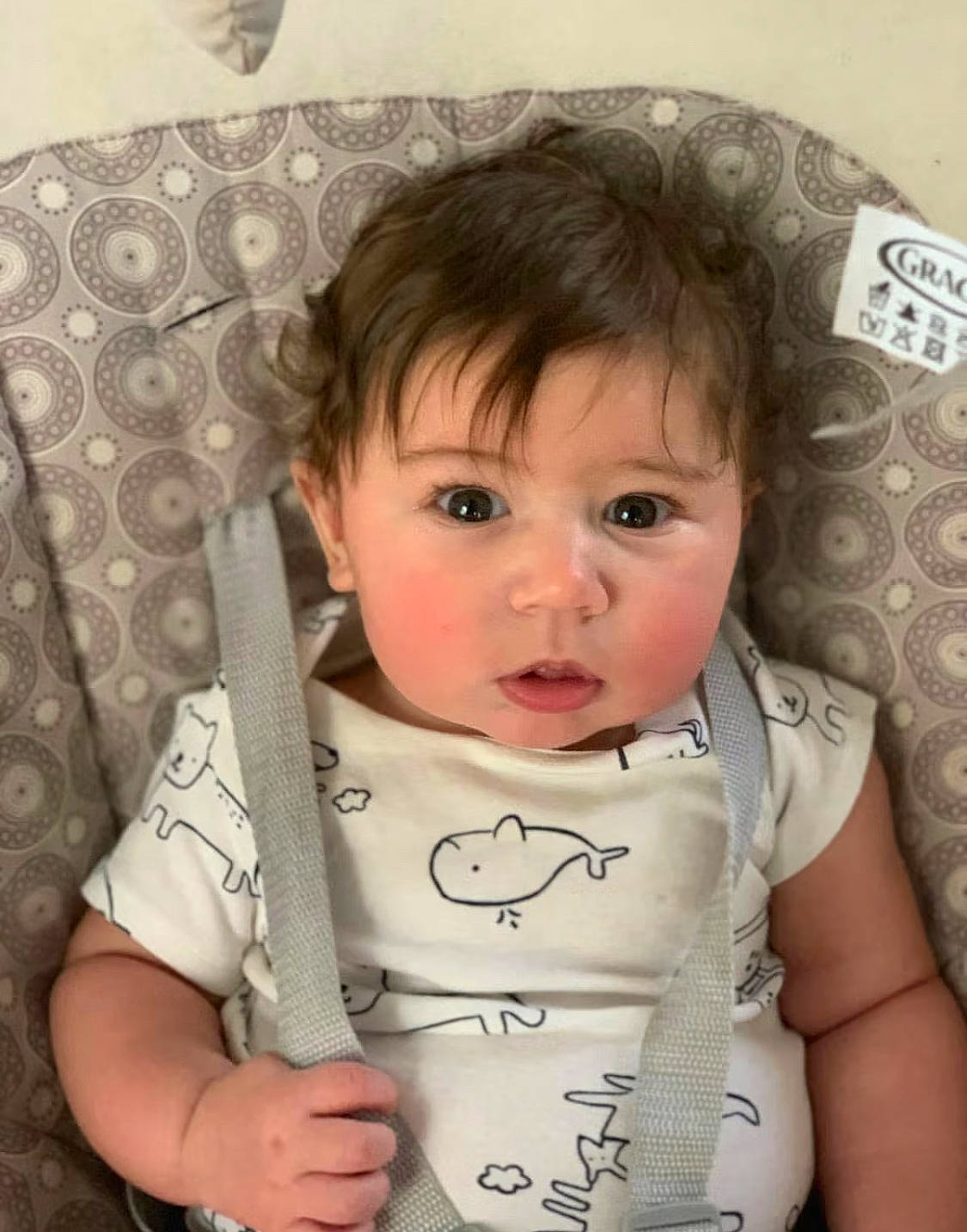 Dennis joined the competition — help win amazing prizes! arm, baby_toddler_clothing, cheek, chin, eye, eyebrow, eyelash, face, hair, hairstyle, hand, head, human, lip, mouth, neck, nose, organ, outerwear, person