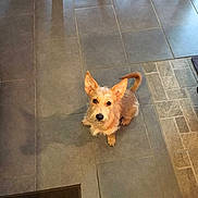 Brando is registered to the contest to win money with this photo: