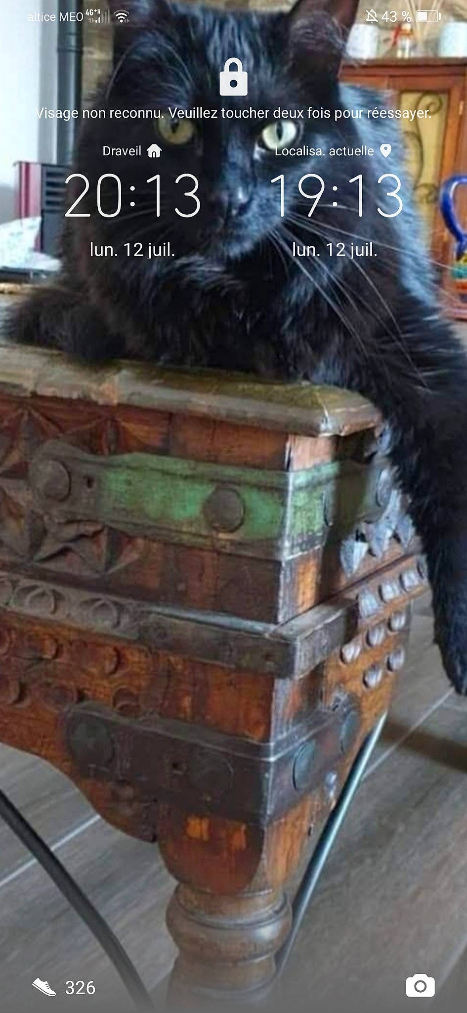 Bowie a rejoint le concours — aidez-le/la à gagner de superbes lots ! book, book_cover, cabinetry, chest_of_drawers, drawer, fashion_accessory, font, fur, hardwood, liver, metal, musical_instrument, natural_material, pattern, publication, shelf, shelving, trunk, wood, wood_stain