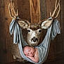 baby, newborn, sleeping, deer, taxidermy, antlers, hammock, fabric, swaddled, wood_background, rustic, portrait, studio, props, cozy, nursery, animal_mount, peaceful, photography, wrapped
